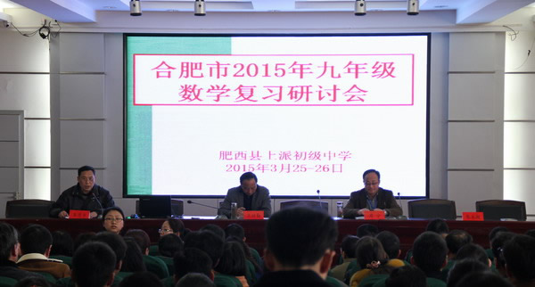 合肥市2015年初中数学九年级复习研讨活动研讨课